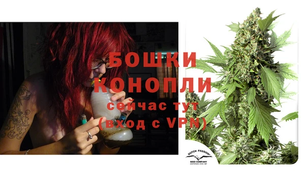 трава Заволжск