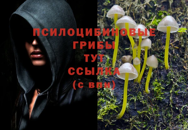 винт Зеленодольск